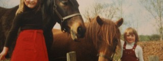 horses